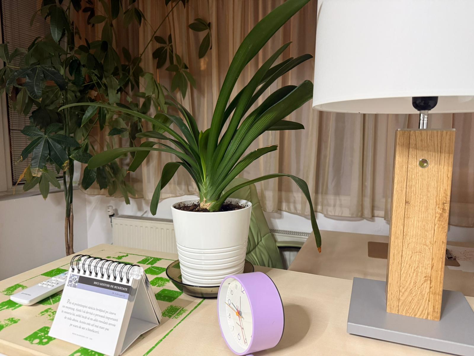 Închiriere Cabinet Psihologic în București – Aviației | Psymep