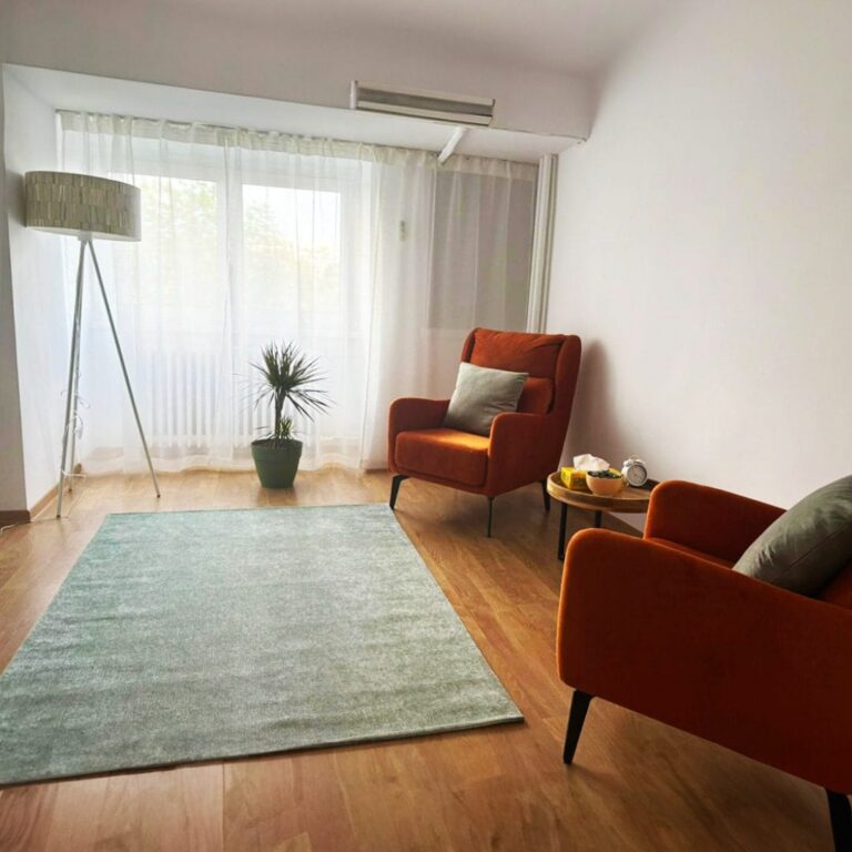 Interior cabinet Psymep, Bulevardul Unirii